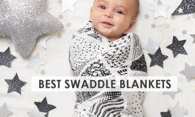 6 Best Swaddle Blankets: Reviews & Buying Guide