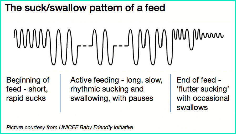 Feeding Pattern of A breastfeed baby | Stork Mama